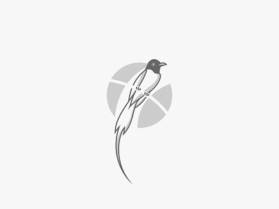 Paradise Bird Logo bird brand guideline brand identity branding design graphic design illustration indonesia logo paradise bird vector