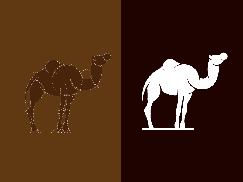 Camel designed by abdullah abbas. 