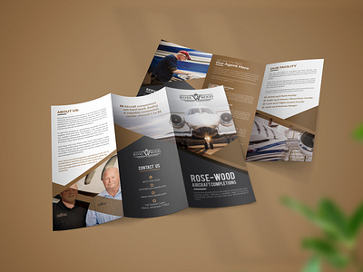 Trifold Brochure Design brochure brochure design dl flyer flyer flyer design folded print ready tri fold trifold brochure