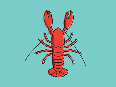 Lobster Illustration illustration
