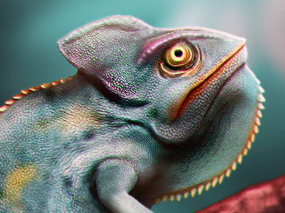 Iguana 3d animal colorful iguana keyshot modeling render zbrush
