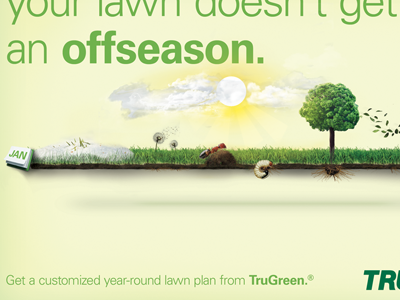 Seasonal Timeline Signage grass green illustration photo composite poster signage