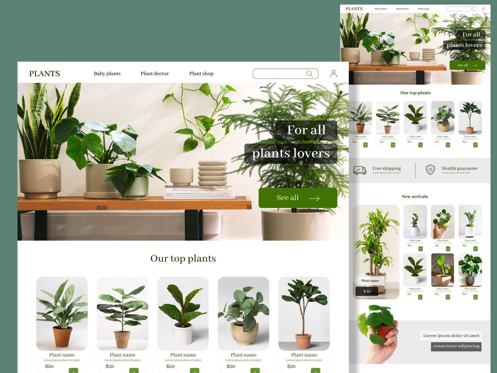 Plant shop design by Shakhzoda Tulaganova on Dribbble