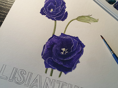 Purple Lisianthus Floral & Type botanical floral flowers hand drawn hand lettering illustration painted