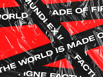 The World Is Made of Fire design typography