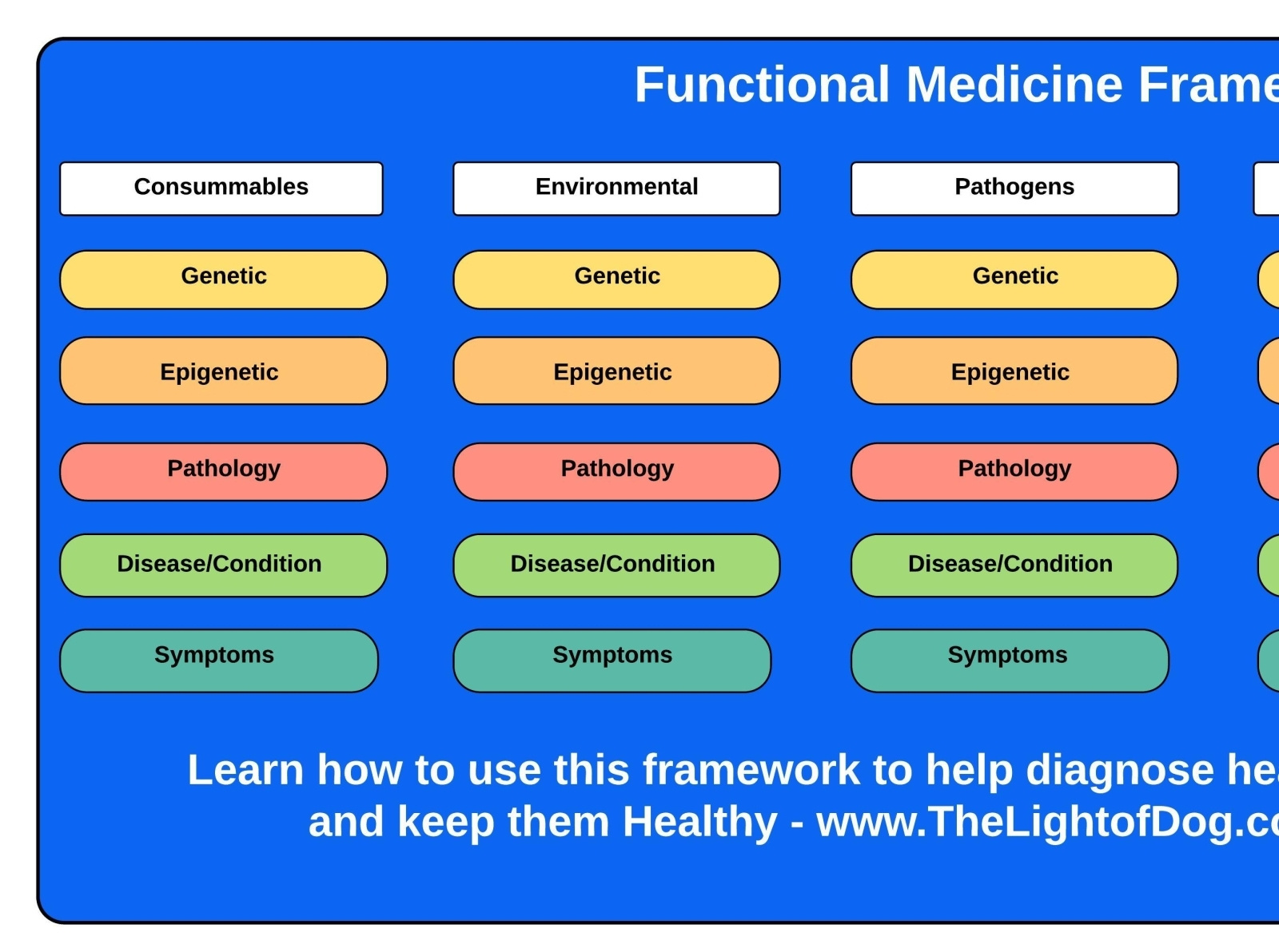 Stronglife Functional Medicine On Tune.pk by Stronglife Functional