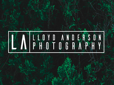 Lloyd Anderson Photography Logo branding logo photography texture