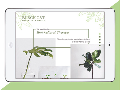 Black Cat Botanicals & Home iPad botany interface mobile plants web