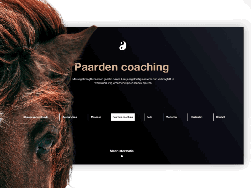 Small Preview dark horse interaction principle ui website