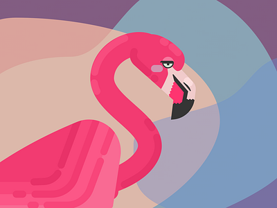 Unimpressed Flamingo animal character chile flamingo illustration neck unimpressed