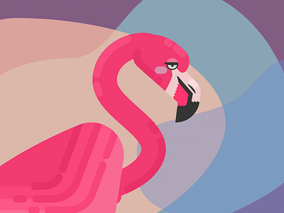 Unimpressed Flamingo