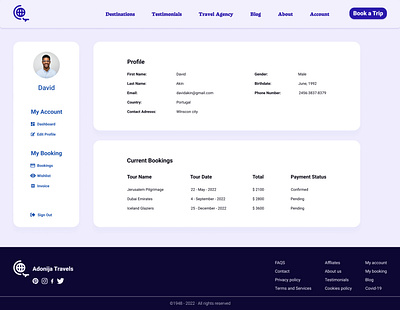 User Dashboard agency branding dashboard graphic design illustration product design profile tourism travel travel agency ui user web design
