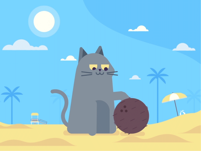 Cat & Coconut 2d beach cat coconut flat gif illustration shot
