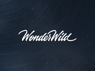 Wonderwild branding custom type design studio handwritten identity logo logotype typography wonderwild