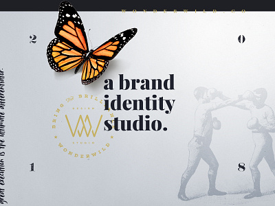 WonderWild Hero agency brand identity branding butterfly cover didot graphic design hero studio ui