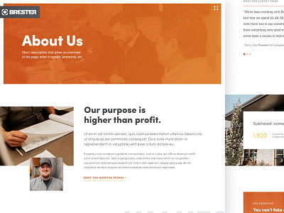 Brester Designs Themes Templates And Downloadable Graphic Elements On Dribbble