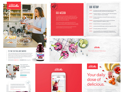 Dr. Smoothie Materials ads beverage brand guidelines brand identity brand style guide branding packaging poster smoothie social graphics visual identity web design