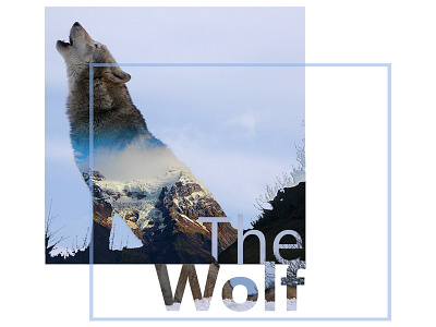 The Wolf cover cover wolf