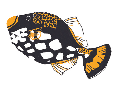 Clown Triggerfish Gillustration black digital digital art digital illustration fish gillustration illustration orange