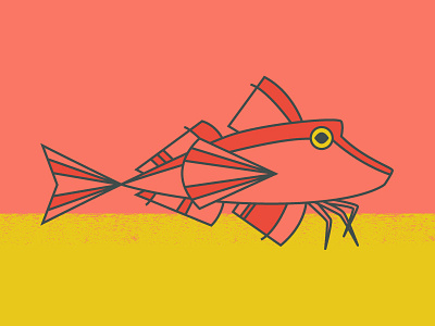 Red Gurnard fish gillustration illustration line monoline monowidth