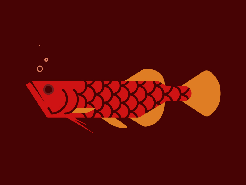 Arowana by Natalie Suarez on Dribbble