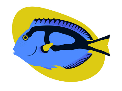 Blue Tang blue fish flat flat illustration gillustration illustration yellow