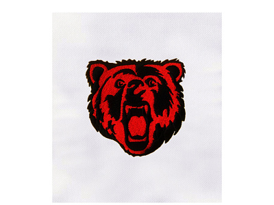 BEAR FACE EMBROIDERY DESIGN