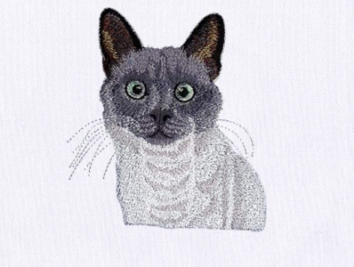 CAT EMBROIDERY DESIGN