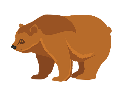 Grizzly Bear Vector 3d alphabet vector animal vector beer vector graphic design illustrator file