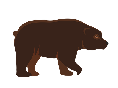 Brown Bear Vector