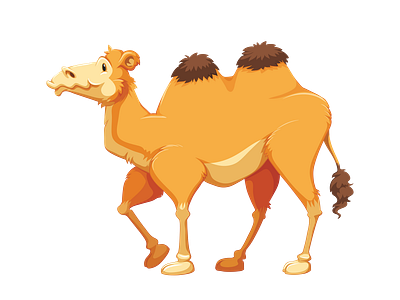 Cartoonish Bactrian Camel Vector camel vector graphic design illustrator png