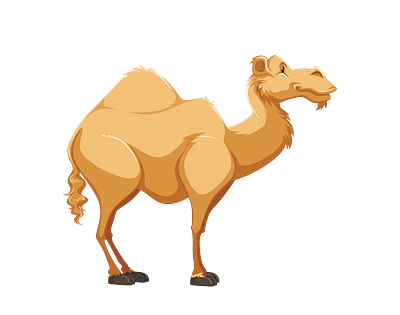 Cartoonish Dromedary Camel Vector 3d graphic design illustrator png