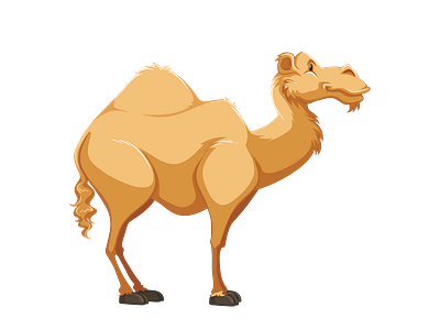 Cartoonish Dromedary Camel Vector