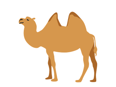 Wild Bactrian Camel Vector graphic design illustrator png