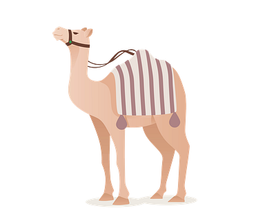 Exquisite Saddled Camel Vector 3d graphic design illustrator png