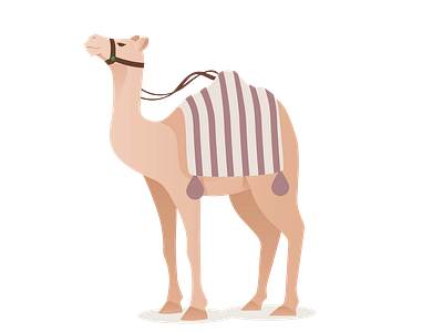 Exquisite Saddled Camel Vector