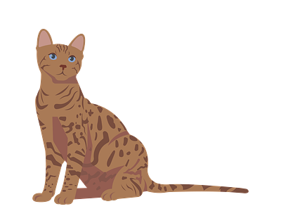Curious Bengal Cat Vector by DigitEMB on Dribbble