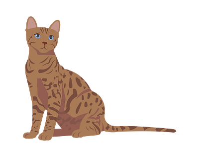 Curious Bengal Cat Vector