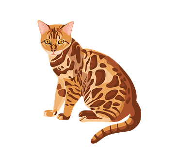 Bengal Cat Vector File 3d graphic design illustrator png