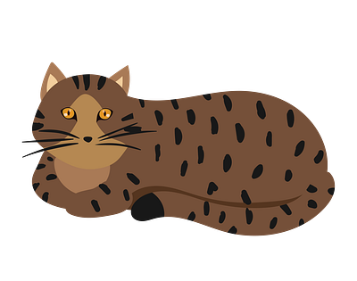 Fat Bengal Cat Vector 3d graphic design illustrator file illustrator png