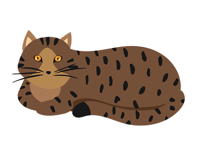 Fat Bengal Cat Vector