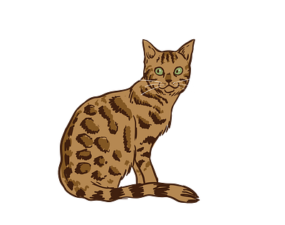 Gorgeous Bengal Cat Vector 3d graphic design illustrator png