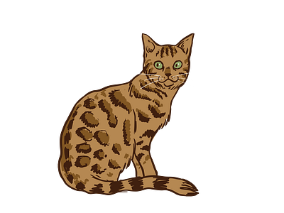 Gorgeous Bengal Cat Vector