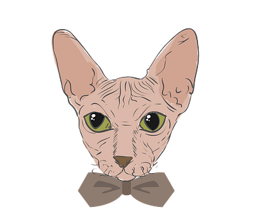 Cat Face Vector 3d branding graphic design illustrator file svg format vector file