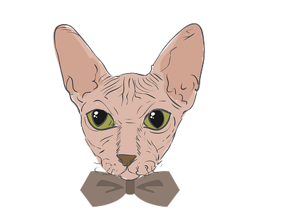 Cat Face Vector