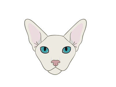 Sphynx Cat Face Vector