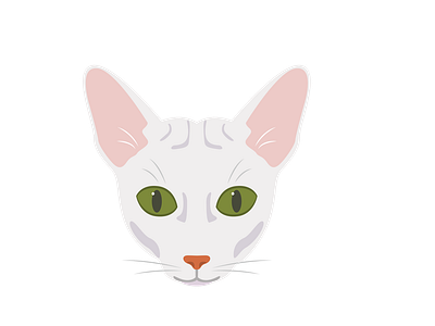 Cat Face Vector Design