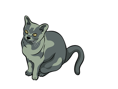 Devon Rex Cat Vector