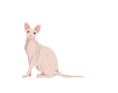 Sphynx Cat Vector Art 3d animal vector design graphic design illustration illustrator file illustrator png svg file vector art
