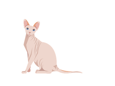 Sphynx Cat Vector Art